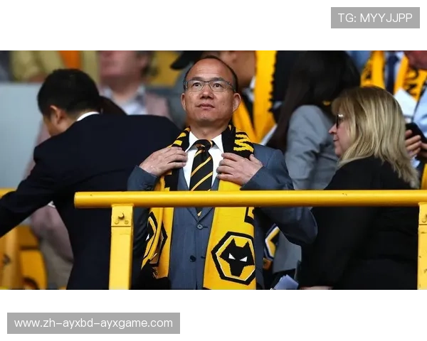 英超中资球队：投资与管理背景分析